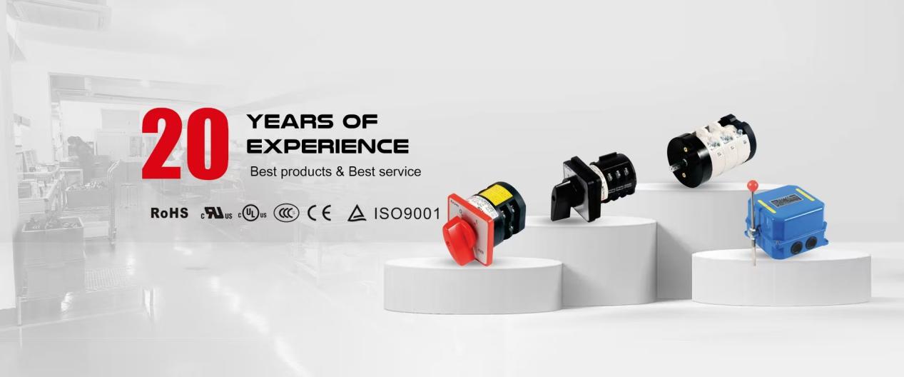 changeover switch